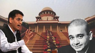 CJI DY Chandrachud, CJI, Nirav Modi