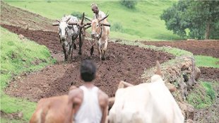 PM Kisan Yojana