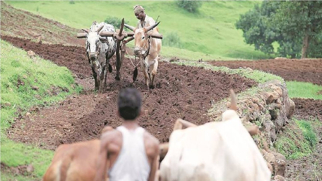 PM Kisan Yojana