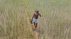 जलवायु संकट और खेती पर खतरे