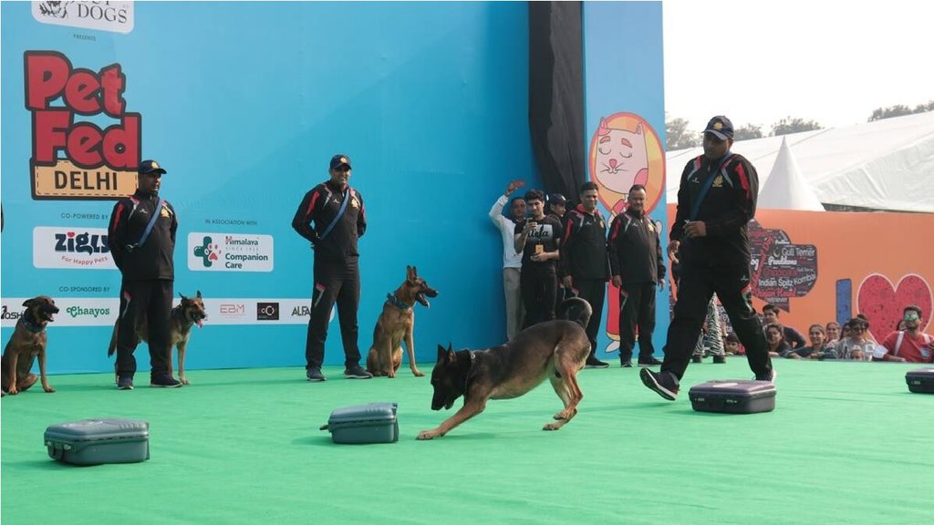 Puppies join Delhi Police