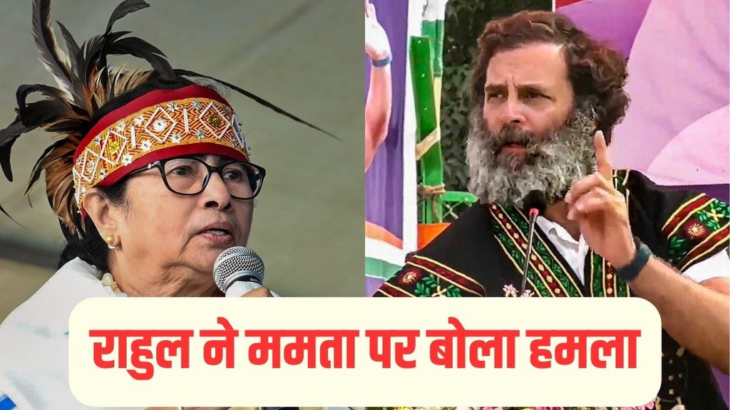 Rahul Gandhi vs TMC