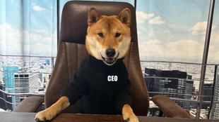 Twitter II CEO II Elon Musk