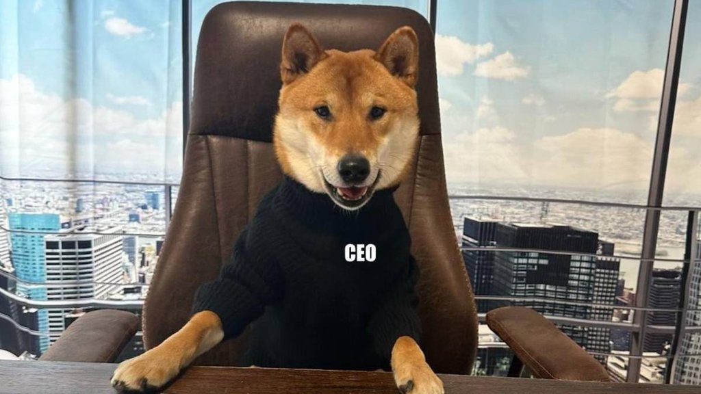Twitter II CEO II Elon Musk