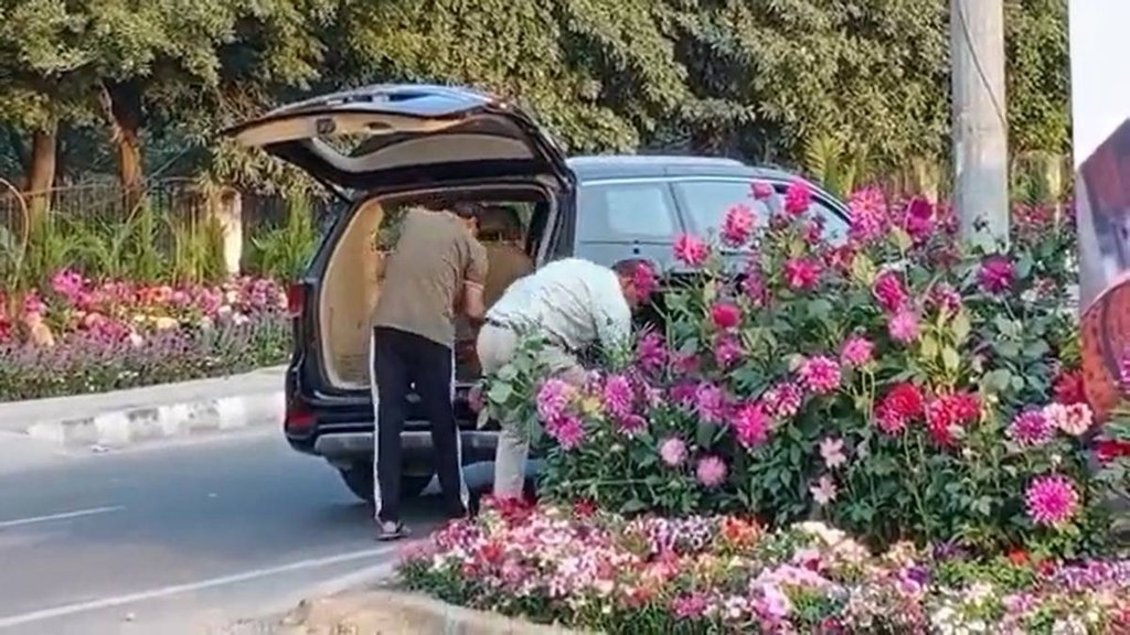 Viral News| Viral Video| Viral News Jansatta|