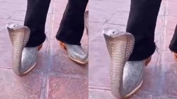 नाग जैसे दिखने वाले जूते पहने युवक का वीडियो वायरल, लोग कर रहे हैं ऐसे-ऐसे कमेंट