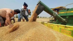 Food Corporation of India | FCI |grain merchants