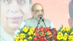 Bihar Politics: ‘प्रधानमंत्री पद के लिए विकासवादी से अवसरवादी बने नीतीश कुमार’, चंपारण में बीजेपी की रैली में बोले अमित शाह