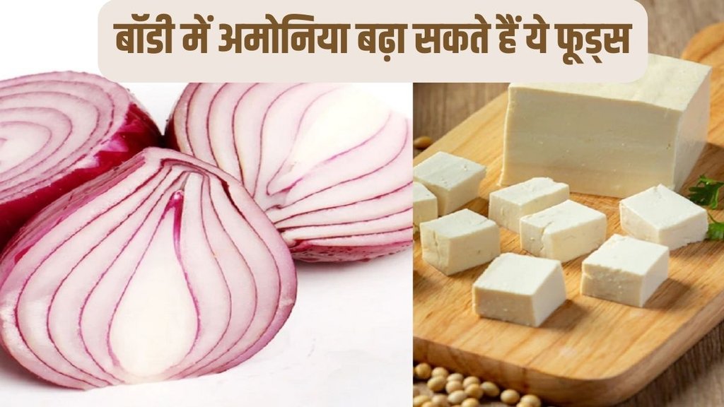 प्याज और पनीर हमारी डाइट का अहम हिस्सा है लेकिन इसमें अमोनिया की अधिक मात्रा होती है इसलिए इनका सीमित सेवन करें। photo-freepik