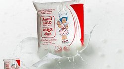 Milk Price Hike: फिर लगा महंगाई का झटका! 3 रुपये प्रति लीटर बढ़ गए अमूल दूध के दाम, देखिए पूरी लिस्ट