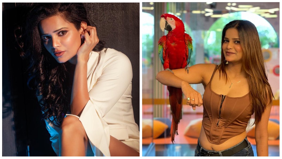 Archana Gautam, Bigg Boss 16