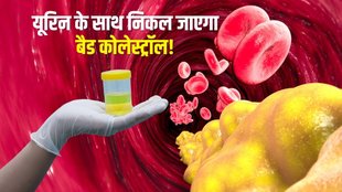 isabgol definition, isabgol benefits and side effects, isabgol benefits