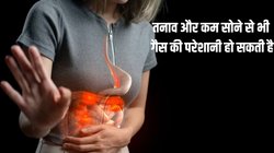 Bloated After Every Meal: 5 कॉमन कारण जिनकी वजह से आप हर भोजन के बाद पेट को फूला हुआ महसूस करते हैं, एक्सपर्ट से जानिए