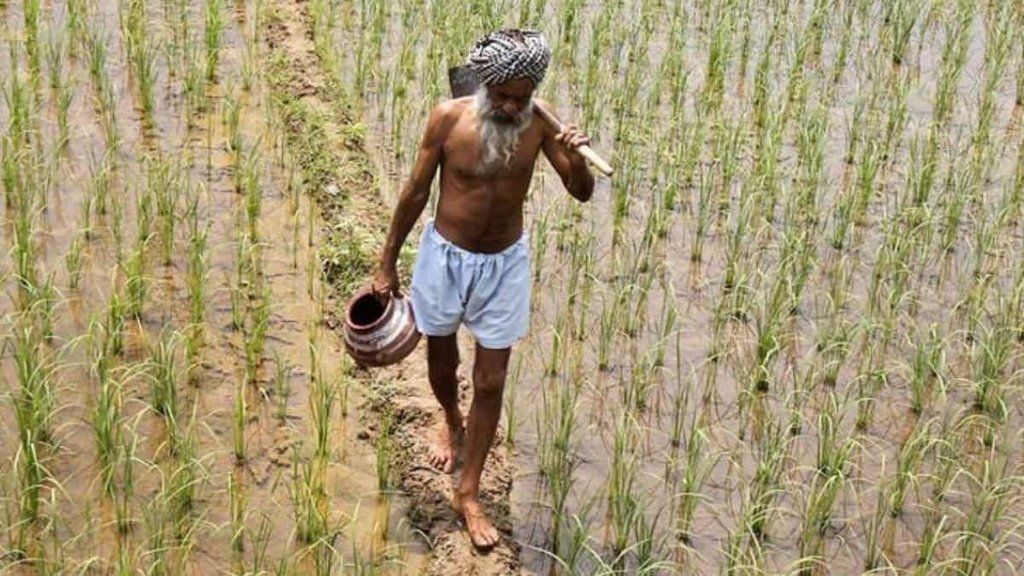 Farmers | Ayush Misnistry