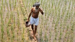 Agriculture Budget 2023: बजट में किसानों के लिए बड़ा ऐलान, कृषि से जुड़े स्टार्ट अप को दी जाएगी प्राथमिकता