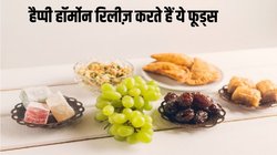 खजूर समेत 5 फूड्स से अंग-अंग में बढ़ेंगे लव हार्मोन, वेलेंटाइन पर रोमांटिक अटैचमेंट भी होगा दोगुना, बाद में भी आएगा काम