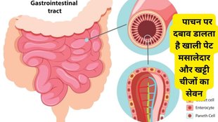 what to eat in dinner according to ayurveda, what should you not eat on an empty stomach, what should i eat on an empty stomach completely,