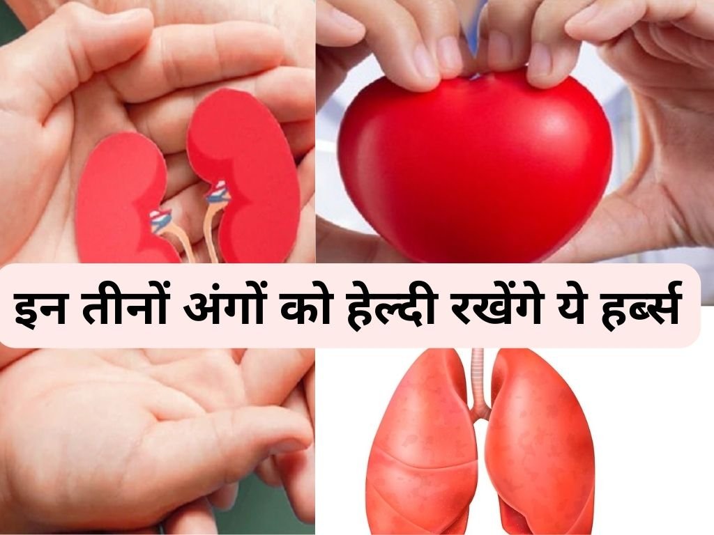 home remedies of joint pain, how to cure liver, kidney