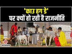 Cow Hug Day: सरकार के ‘काउ हग डे’ की वापसी पर कांग्रेस नेताओं की चुटकी, जानें क्यों मनाया जा रहा है