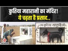 UP के Jhansi में कुतिया का मंदिर जहां होती है नित्य पूजा - पाठ, प्रसाद में चढ़ती है ये सामग्री!