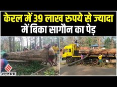 114 साल पुराना सागौन का पेड़, 39 लाख से ज्यादा में बिका | Sagwan Tree Kerala