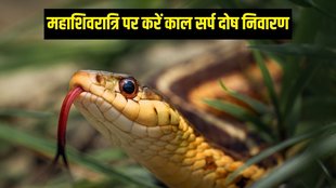 sawan kaal sarp upay, sawan ka somwar, kaal sarp dosha ke upay
