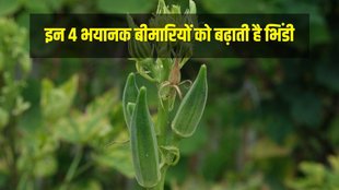 Side effects of Bhindi, Lady Finger Nutritional Value in Hindi, Lady Finger benefits in Hindi, Lady Finger benefits