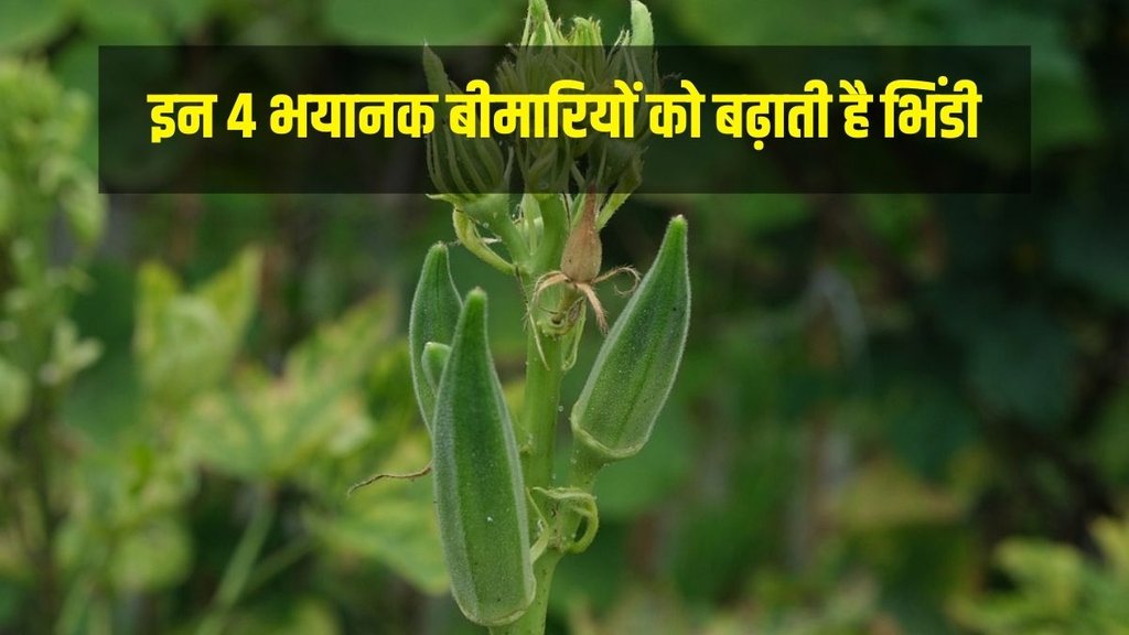 Side effects of Bhindi, Lady Finger Nutritional Value in Hindi, Lady Finger benefits in Hindi, Lady Finger benefits