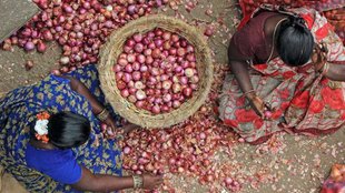 Kisan News | onion prices | Maharashtra Nashik