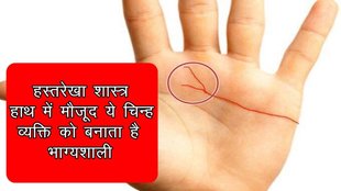 rajyog in hand, money line in hand
