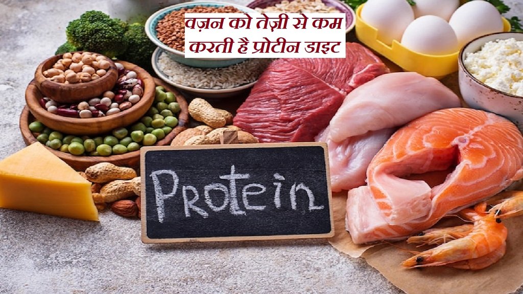 How protein diet controls weight