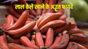 red banana benefits | health benefits of red banana | Red Banana and Diabetes