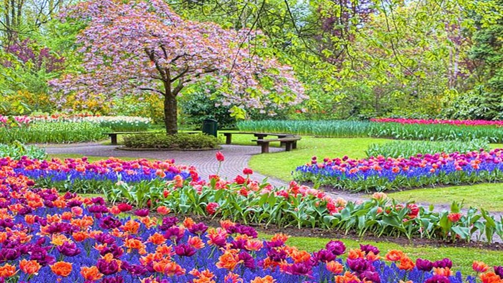 spring season