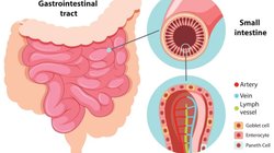 Gastrocolic Reflex: खाना खाते ही बन जाता है पेट का प्रेशर, तो आपको है ये बीमारी, जानें घरेलू इलाज