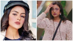 Sumbul; Touqeer, Bigg Boss, Priyanka chahar chaudhary