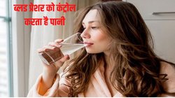Blood Pressure Control:हाई ब्लड प्रेशर को कंट्रोल करने में असरदार है पानी, जानिए कितना वाटर कर सकता है आसानी से बीपी कंट्रोल