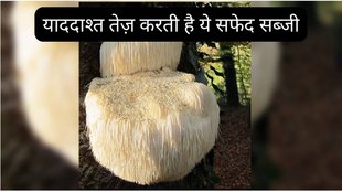 how to make lion’s mane mushrooms, lion’s mane mushrooms,