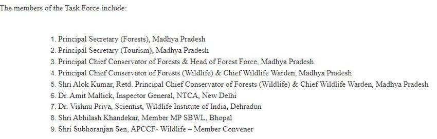 Cheetah Task Force, Cheetah Task Force Details
