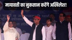 BSP को जड़ से खत्म करने की तैयारी में अखिलेश! कई ‘मोर्चों’ पर कर रहे दलितों को तोड़ने का काम