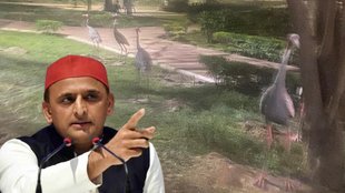 Akhilesh yadav II SP II Arif