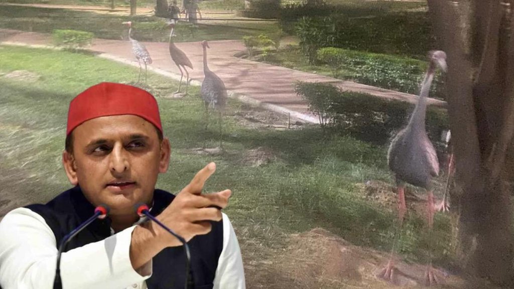 Akhilesh yadav II SP II Arif Akhilesh yadav II SP II Arif