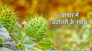 Astro Tips For Business , व्यापार में लाभ के उपाय