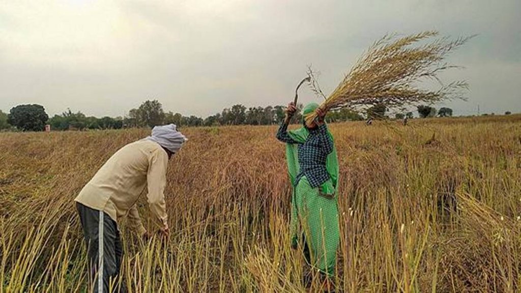 Weather | Crop | IMD |