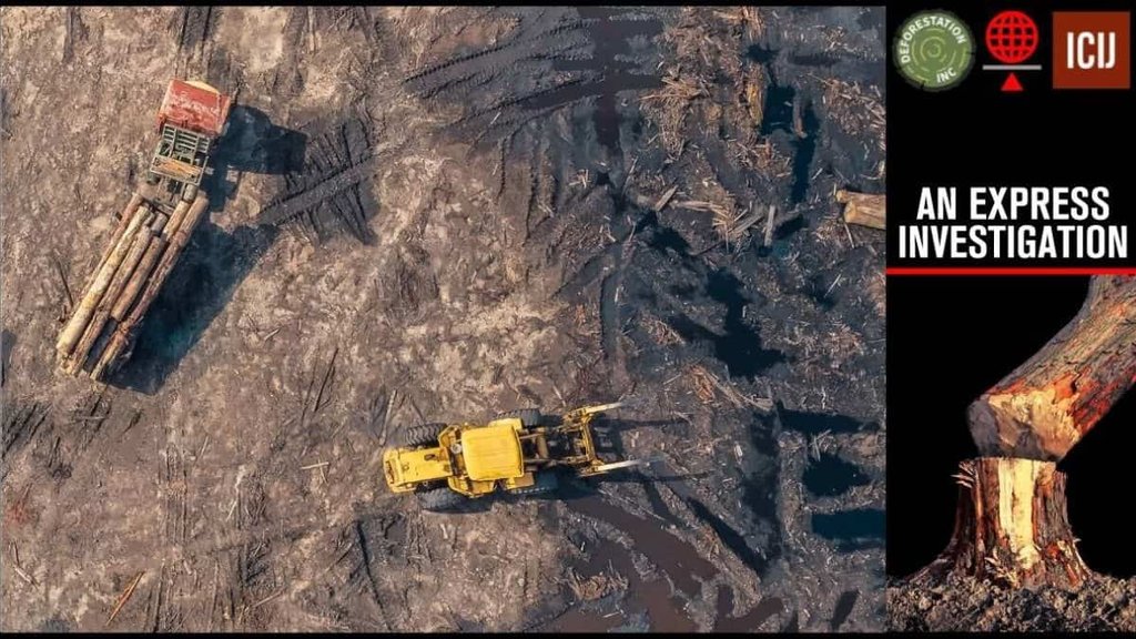Deforestation| Lutyens Zone| governments forest map