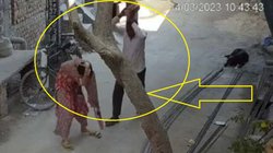 Job Interview देने जा रही थी बहू, ससुर को नहीं आया रास, सिर पर दे मारी ईंट