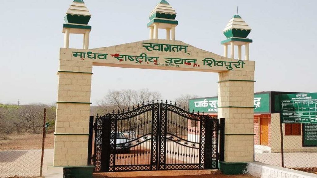 Madhav National Park, Kuno National Park, Madhya Pradesh