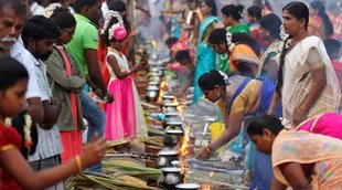 Pongal fest