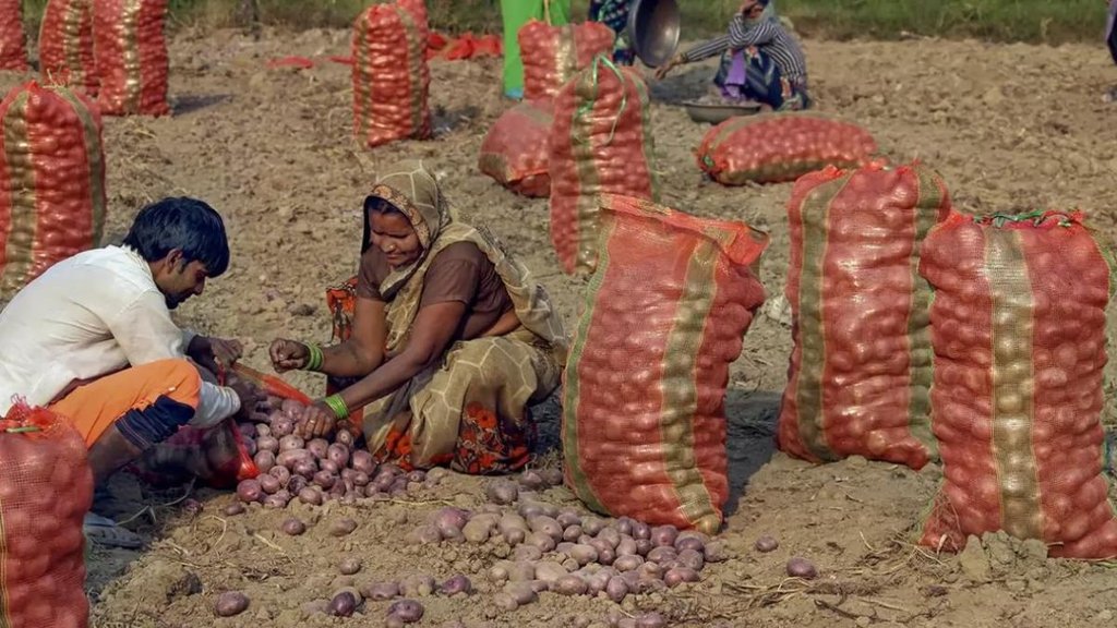Kisan News | WEST Bengal | Potato Farmers