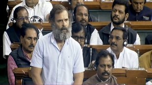 Rahul Gandhi, Lok Sabha, Congress