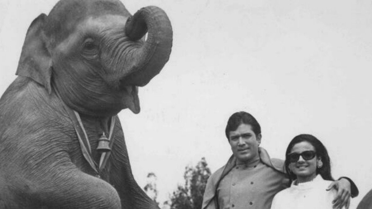 Rajesh Khanna | Tanuja | Haathi Mere Saathi